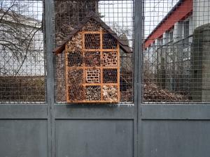 IMG_20230326_180947